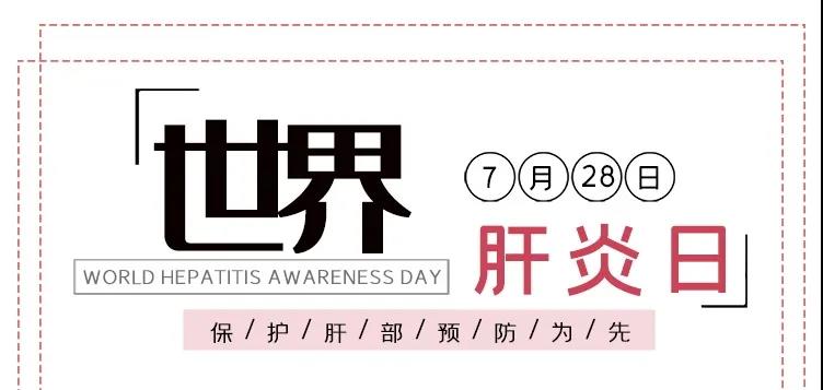 世界肝炎日——積極預(yù)防，主動檢測，規(guī)范治療，全面遏制肝炎危害！